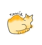 うち猫さんの日常会話 (基礎)（個別スタンプ：19）