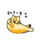 うち猫さんの日常会話 (基礎)（個別スタンプ：20）