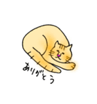 うち猫さんの日常会話 (基礎)（個別スタンプ：21）