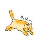 うち猫さんの日常会話 (基礎)（個別スタンプ：23）
