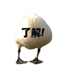 ドイツのトリ その2（個別スタンプ：2）