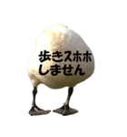 ドイツのトリ その2（個別スタンプ：3）