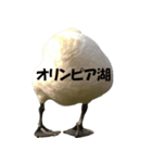 ドイツのトリ その2（個別スタンプ：5）