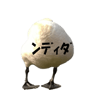 ドイツのトリ その2（個別スタンプ：11）