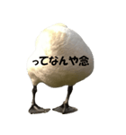 ドイツのトリ その2（個別スタンプ：15）