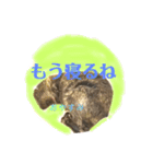 デグーのふく 日常スタンプ2（個別スタンプ：5）