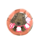 デグーのふく 日常スタンプ2（個別スタンプ：6）