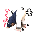 おとのきもち3（個別スタンプ：16）