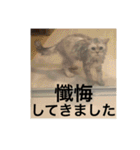 猫の撒菱と楽しい毎日（個別スタンプ：27）