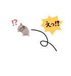 キンクマハムスタースタンプ（個別スタンプ：27）