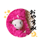 キンクマハムスタースタンプ（個別スタンプ：31）