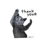 我が家の『gris』です(=^x^=) よろしくね♩（個別スタンプ：2）
