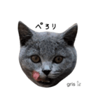 我が家の『gris』です(=^x^=) よろしくね♩（個別スタンプ：18）