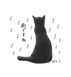 我が家の『gris』です(=^x^=) よろしくね♩（個別スタンプ：22）
