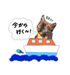 柊碧くんと時々ちゃーちゃん（個別スタンプ：12）