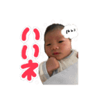柊碧くんと時々ちゃーちゃん（個別スタンプ：21）