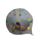 うちのかわいい子スタンプ（個別スタンプ：5）