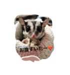 うちのかわいい子スタンプ（個別スタンプ：7）