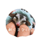 うちのかわいい子スタンプ（個別スタンプ：9）