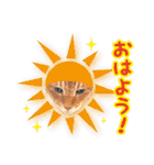 くおとこむぎのスタンプ（個別スタンプ：1）