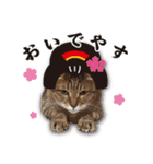 くおとこむぎのスタンプ（個別スタンプ：2）