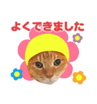 くおとこむぎのスタンプ（個別スタンプ：3）
