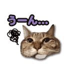 くおとこむぎのスタンプ（個別スタンプ：4）