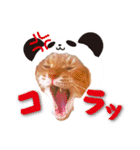 くおとこむぎのスタンプ（個別スタンプ：6）