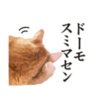 くおとこむぎのスタンプ（個別スタンプ：7）