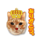 くおとこむぎのスタンプ（個別スタンプ：8）