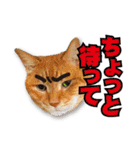 くおとこむぎのスタンプ（個別スタンプ：19）