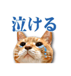 くおとこむぎのスタンプ（個別スタンプ：21）
