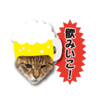 くおとこむぎのスタンプ（個別スタンプ：26）