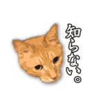 くおとこむぎのスタンプ（個別スタンプ：31）