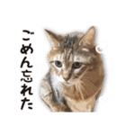 くおとこむぎのスタンプ（個別スタンプ：32）