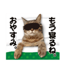 くおとこむぎのスタンプ（個別スタンプ：38）