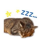 くおとこむぎのスタンプ（個別スタンプ：39）