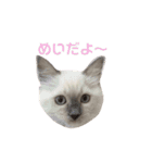 めいちゃんのスタンプ(更新！)（個別スタンプ：2）