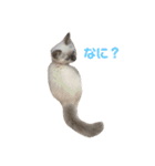 めいちゃんのスタンプ(更新！)（個別スタンプ：3）