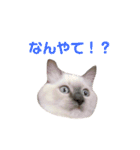 めいちゃんのスタンプ(更新！)（個別スタンプ：7）