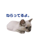 めいちゃんのスタンプ(更新！)（個別スタンプ：14）