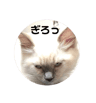 めいちゃんのスタンプ(更新！)（個別スタンプ：19）