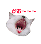 めいちゃんのスタンプ(更新！)（個別スタンプ：23）