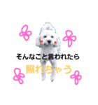 いぬのスタンプだよ（個別スタンプ：13）