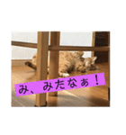 チャロりあん（個別スタンプ：2）