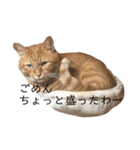 チャロりあん（個別スタンプ：7）