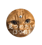 チャロりあん（個別スタンプ：32）