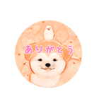 絵の中の犬たちよ。（個別スタンプ：2）