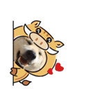 柴犬 ふじまる 4（個別スタンプ：39）
