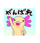 ウパラの日常（個別スタンプ：1）